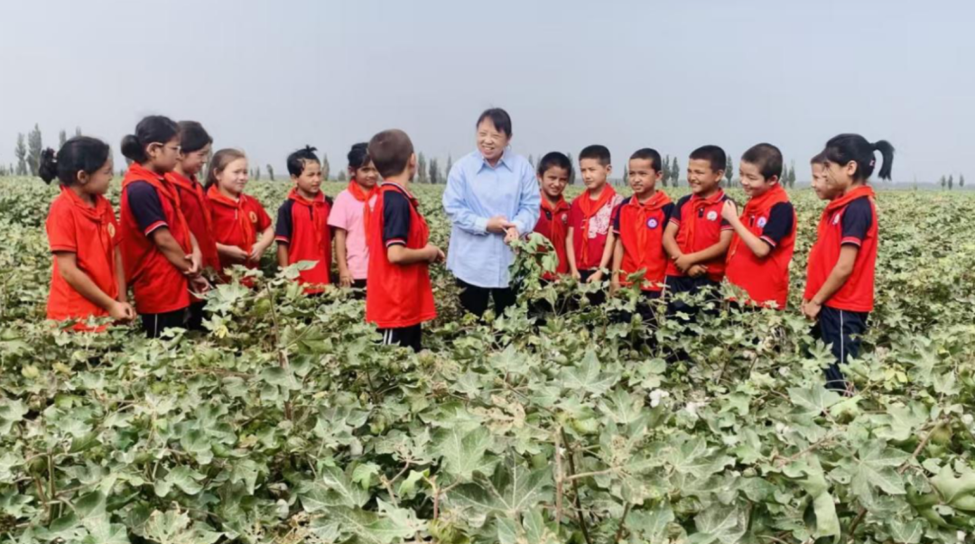 2024年8月，宋美珍（中）为喀什莎车县巴格阿瓦乡团结村小学学生讲解棉花知识。
