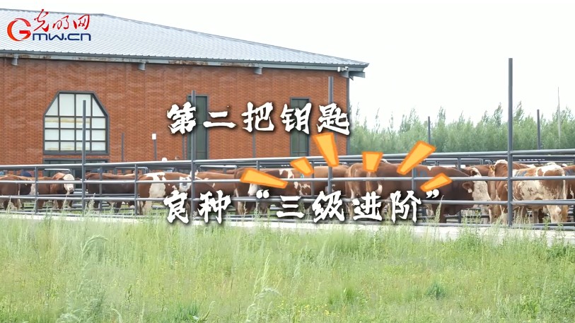 cfe4de9309ea9a1edf92ce4c8e7c41e8_e0d55e9af22d2a3479fa1f.jpg